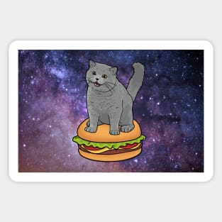 I CAN HAS CHEEZBURGER chubby meme cat in space Sticker